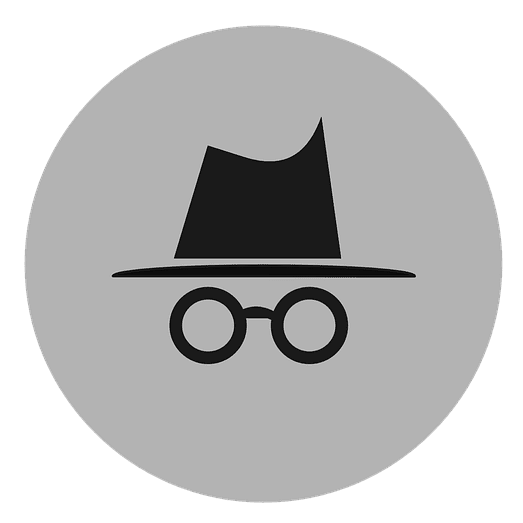 Incognito History Logo